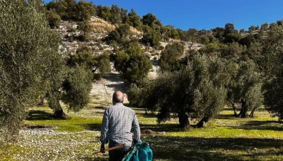 Andaluzja produkuje połowę żywności ekologicznej w Hiszpanii