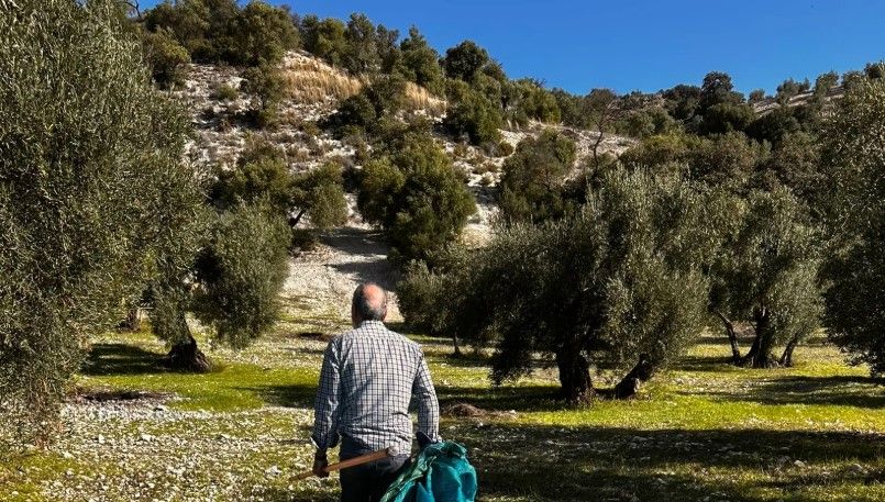 Andalucía produces half of Spain's organic food