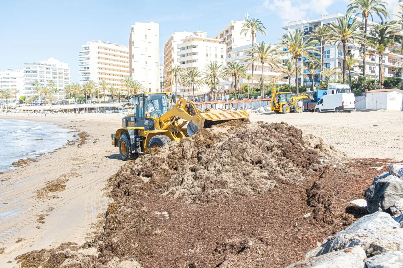 Wybrzeże Malagi usuwa 15 000 ton inwazyjnych alg
