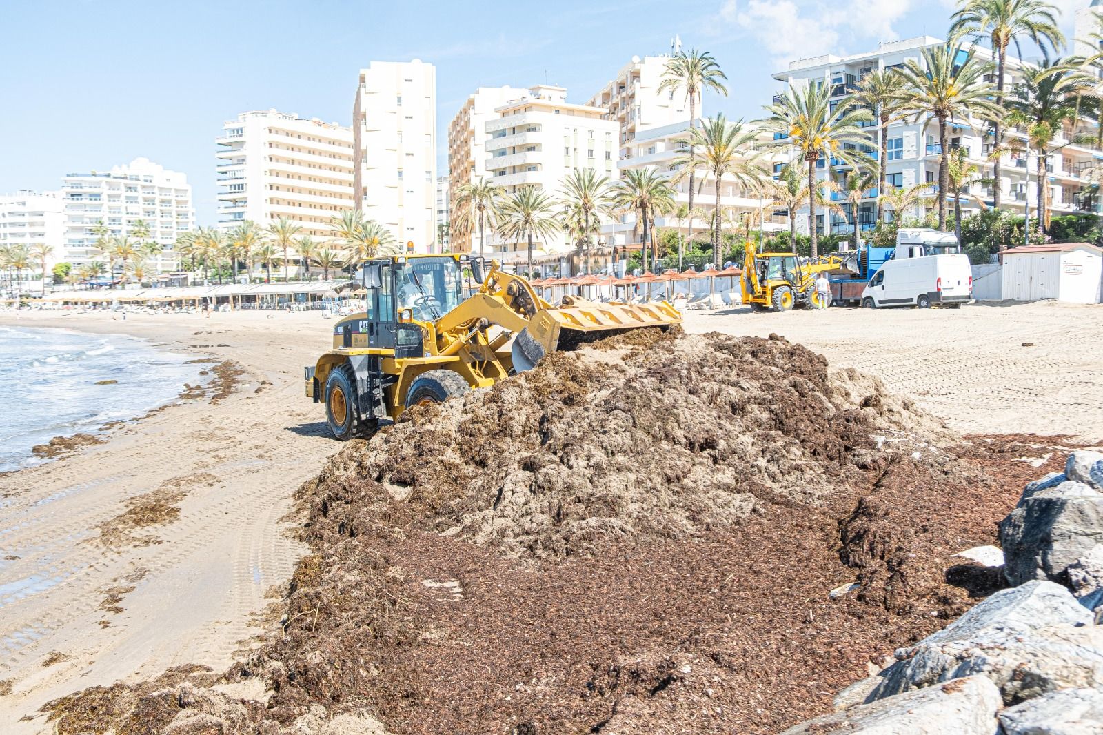 Malaga coast removes 15,000 tons of invasive algae