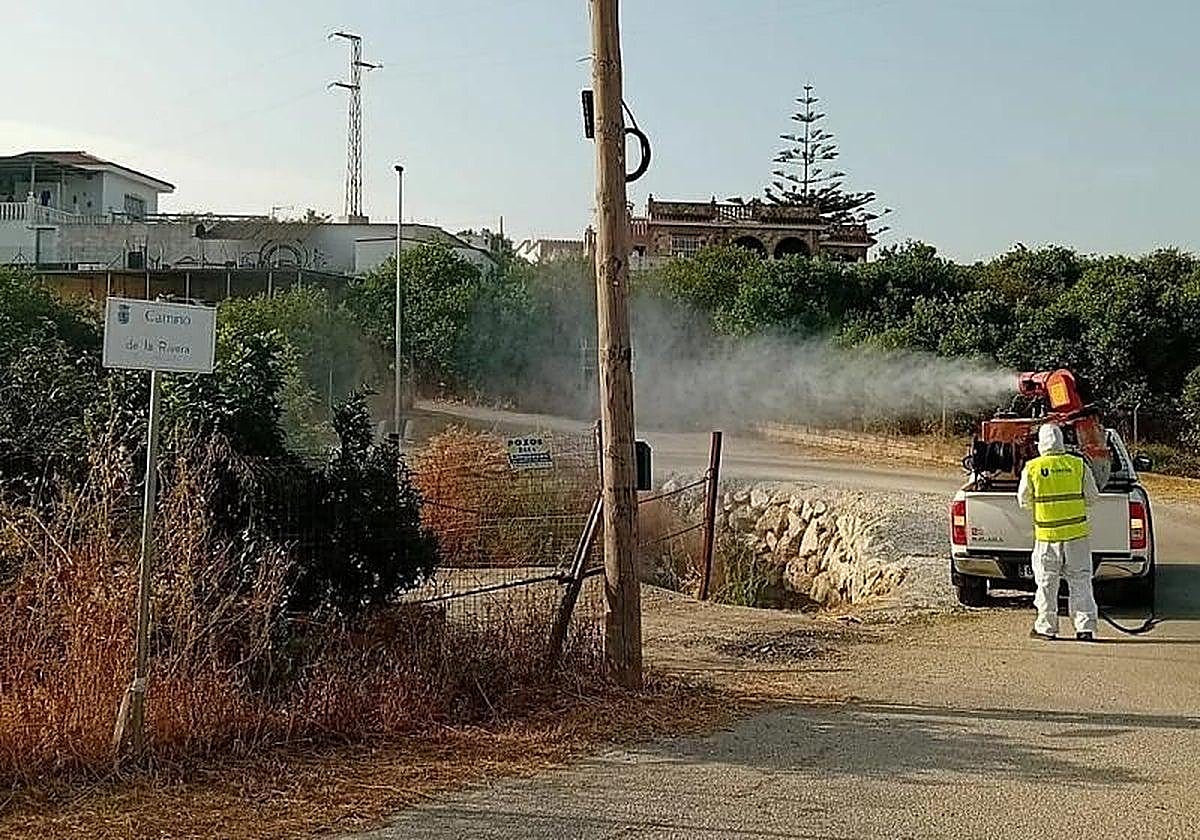 West Nile virus alert declared in Fuengirola and Mijas