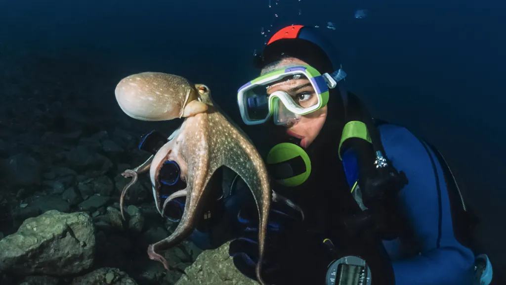 World's first octopus farm project abandoned